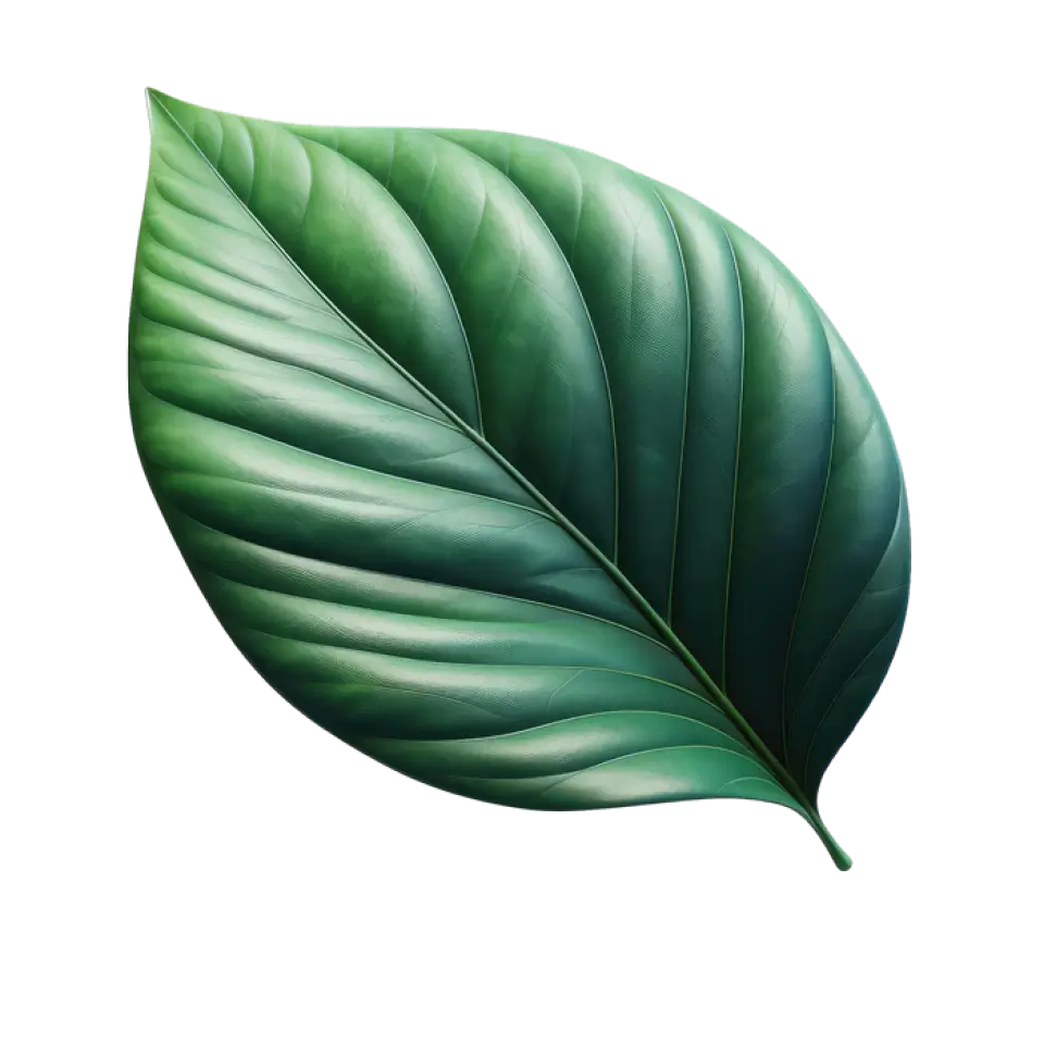 Blatt-01